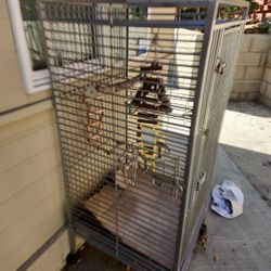 Bird Cage Used 