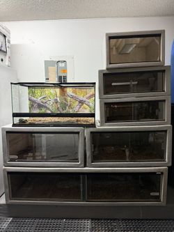 Vision Cages