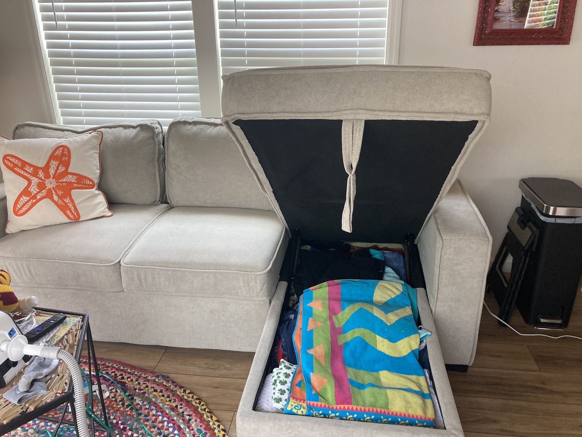 Sleeper Sofa With Storage