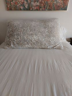 Huge Loung Pillow