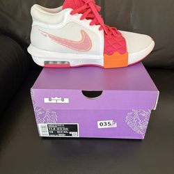 Nike Lebron Dunkin Donuts Size 11.5