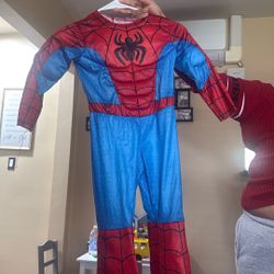 Small Boys Spiderman Suit