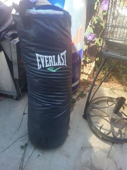 Punching bag