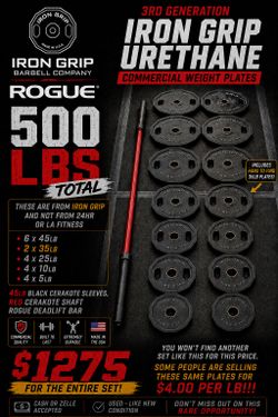 Iron grip weight plates with Rogue Deadlift bar