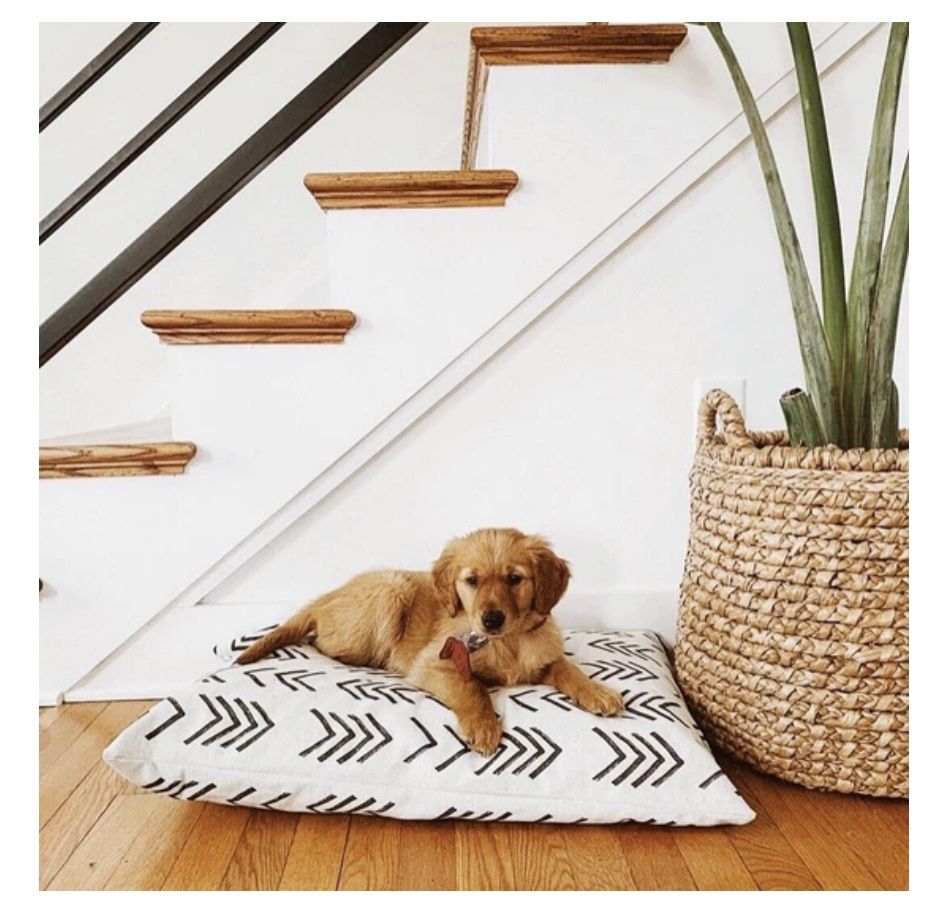 Modern Dog Bed