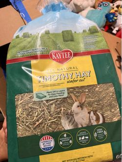 Free Timothy Hay