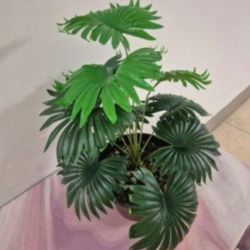 *** NEW LOW PRICE *** Faux Potted Plant with Mixed Colored Stone @ Lasting Creations