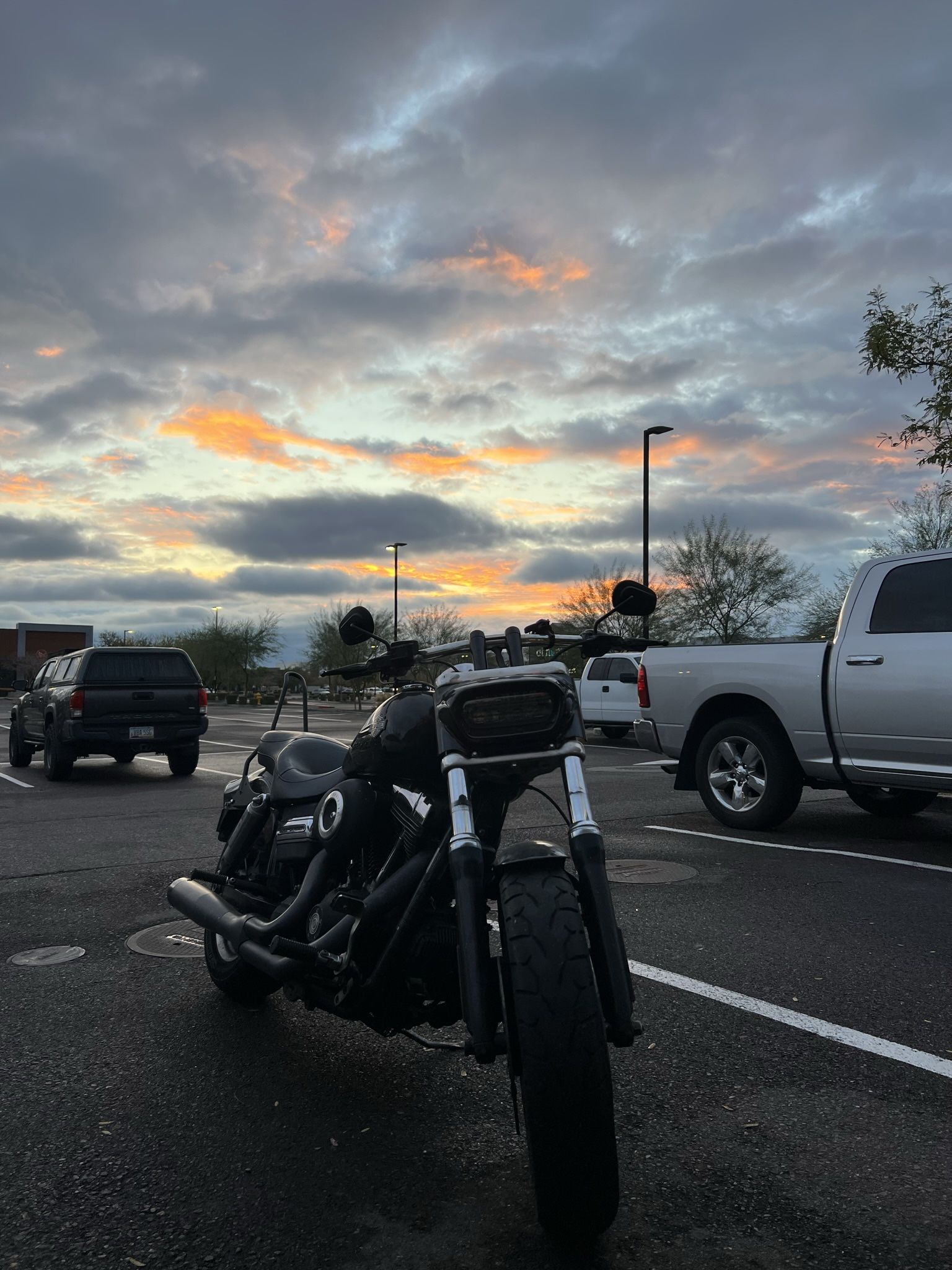 2008 Harley Davidson Fatbob dyna