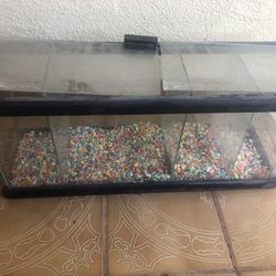 Aquarium Tank 5 Gallons With Partition Beta Fish