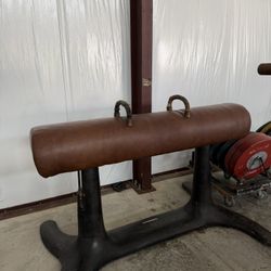 Olympic Free Training, Pommel Horse