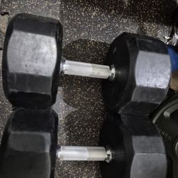 Troy  80lbs Dumbells WEIGHTS 