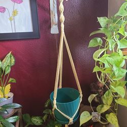 Macrame Plant Hanger 💛