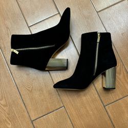 Black Suede & Gold Booties by Steve Madden 