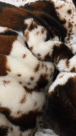 Super Thick And Comfortable Blanket COYO