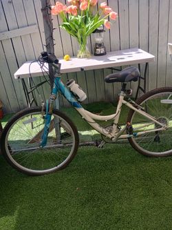 Diamond Back Citi Serene CITI Classic 