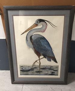 Large Blue Heron - Dan Mitra