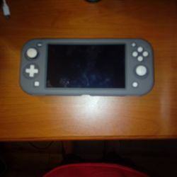 Lightly Used Nintendo Switch Lite (Cash Only )