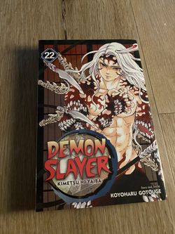 Demon Slayer manga! Volume 22
