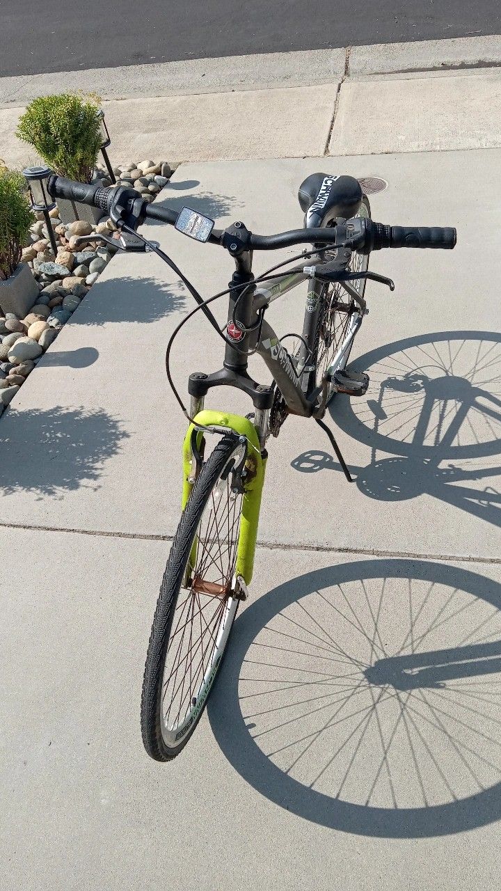 Schwinn Bike(needs new tubes)