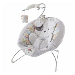 Fisher Price Bouncer Seat 