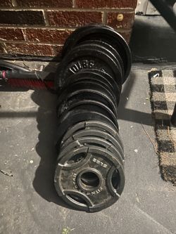 10 Lb Plates And 5 Lb Plates   100 Lbs