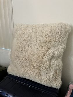 Cushion Pillow outdoor indoor