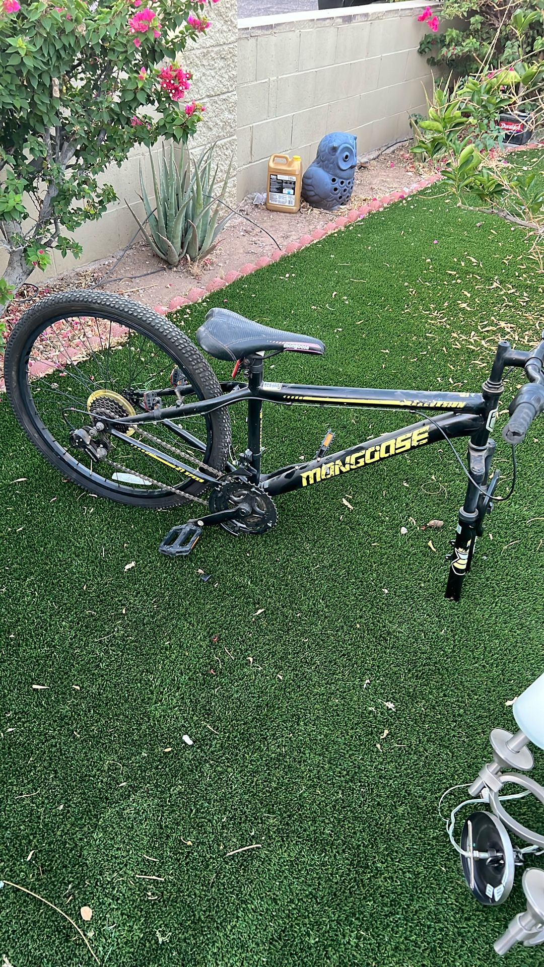 Mongoose Bike