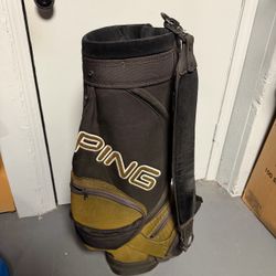 Vintage Ping Bag