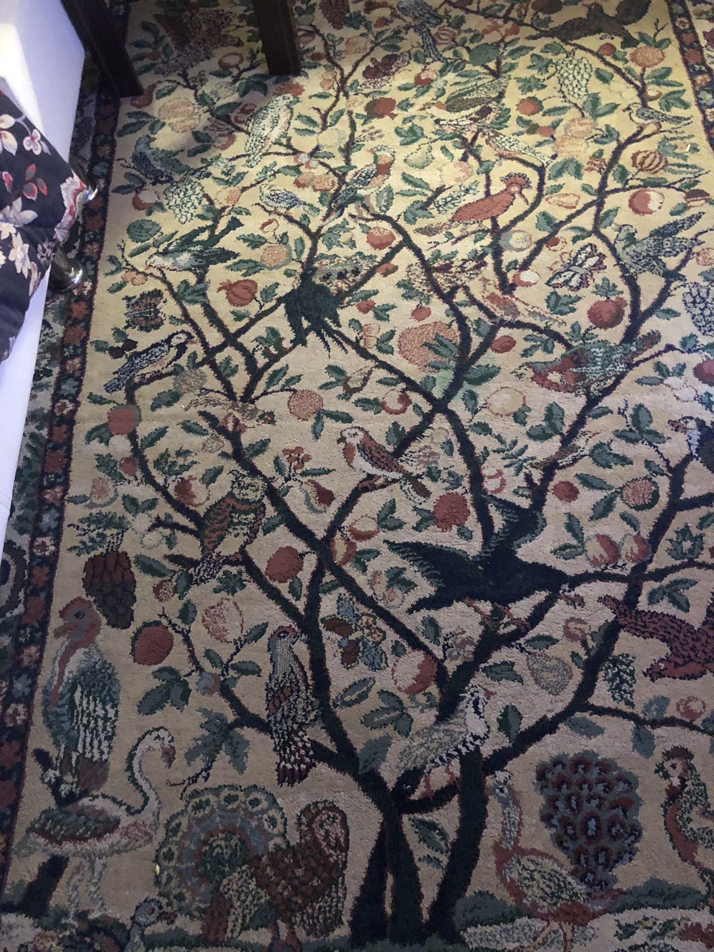 Rug