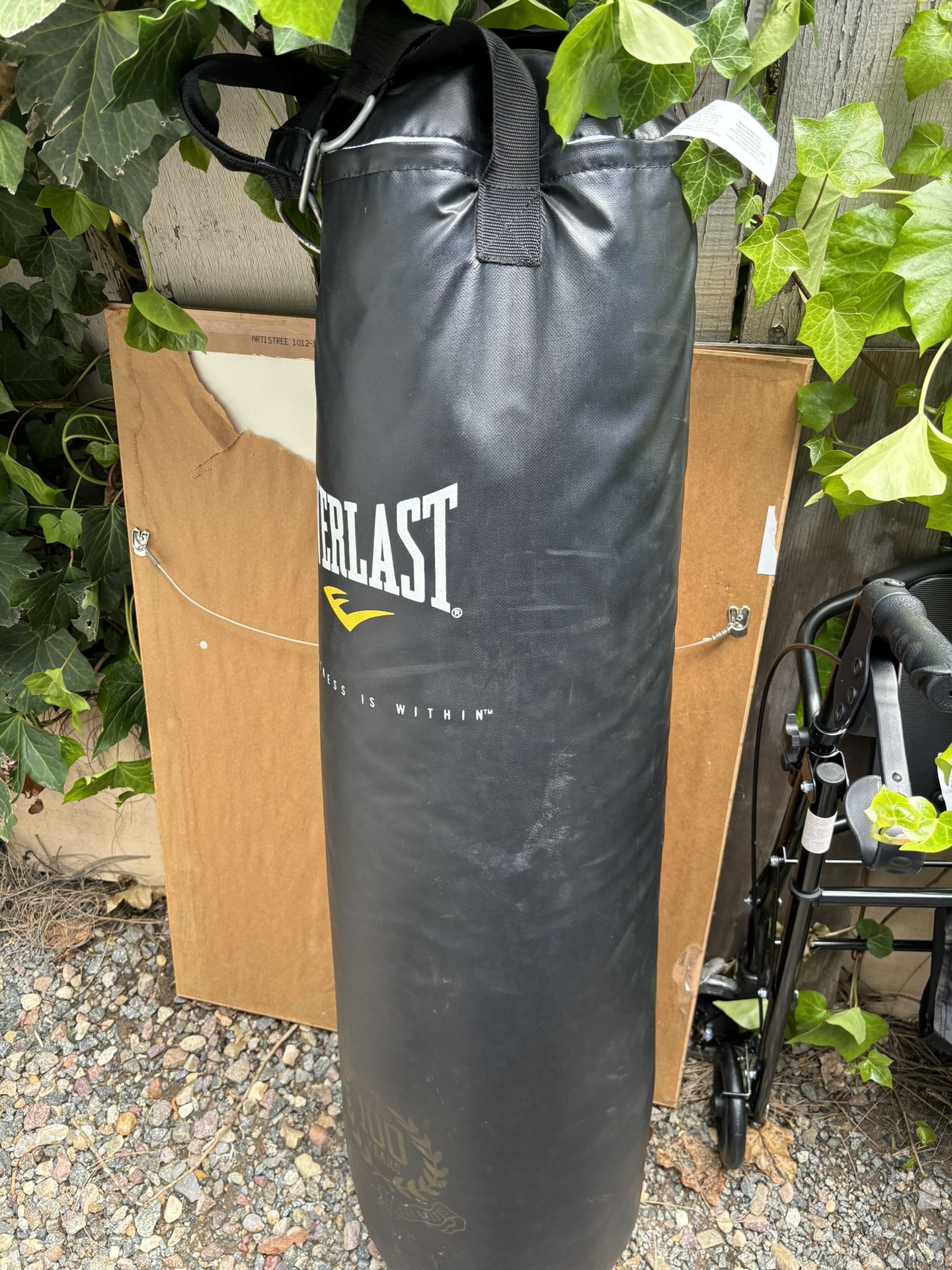 Everlast Punching Bag