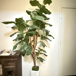 Faux Fig Tree / Faux Plant