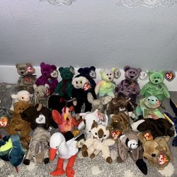 Giant Brand New Beanie Baby Haul With Tags 