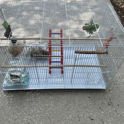 Bird Case