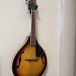 Mandolin Perfect for beginners like new 