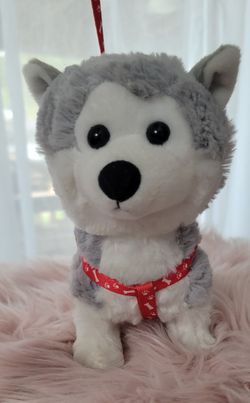 New Harness & Leash Set