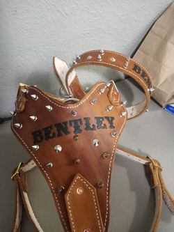 Dog Harness 100% Leather With Spikes Custom   S,M,L,XL (Pecheras Para Perros Todas Las Medidas  Personalizado)