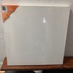 Blank Art Canvas 24  X 24