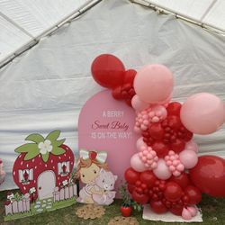 Strawberry Shortcake Balloon Set UPS