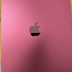 iPad Pink WiFi Only