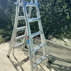 Ladder Extending