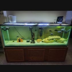 150 Gallon Aquarium. Marineland Lights, Stand, & FX6