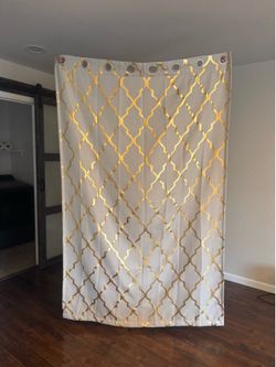 Gold/Beige Curtains
