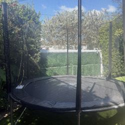 Trampoline 