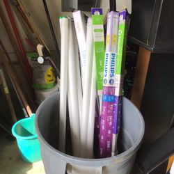 Fluorescent Bulbs -Free