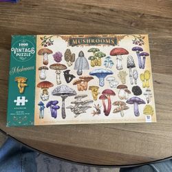 Puzzles - 500 Pieces (or more)