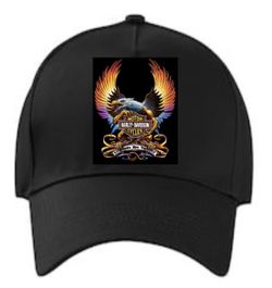 Harley Davidson Hat