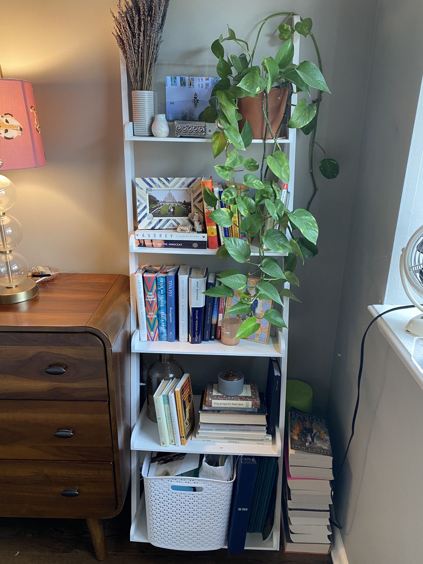 White Ladder Shelf