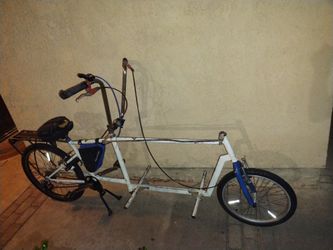 Custom cargo bike
