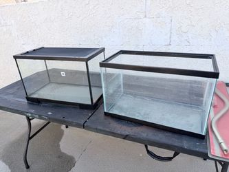 Two 10 good gallon tanks