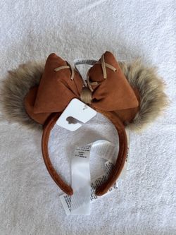 Disneyland Disney Ears